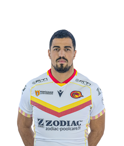catalan dragons t shirt